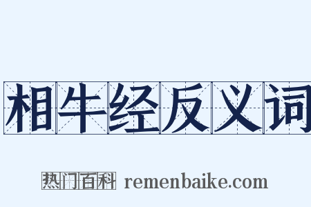 相牛经反义词是什么意思的图片